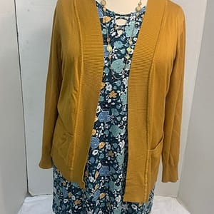 1X (16/18) Terra & Sky Dress and Cardigan