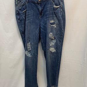 3X(22W) Lane Bryant Jean
